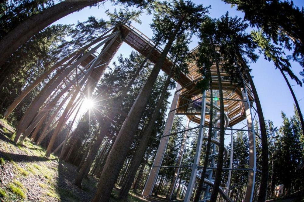 Отель Retro Chaty U Plaze Lipno Черна-в-Пошумави Экстерьер фото